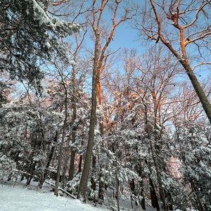 Meet your Posher, Adriana